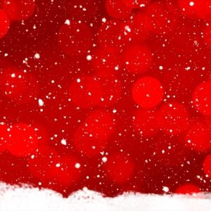 snow, silhouette, christmas, christmas ornament, flora, kringel, circles, stars, light, advent, advent season, tree, tree decorations, christmas tree, decoration, christmas eve, the atmosphere, december, winter, lighting, christmas time, christ feast, bullet, christmas decoration, message, pleasure, holidays, nature, christmas balls, christmas greeting, candlelight, postcard, eve, ice crystals, snow crystals